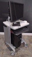 ENSITE AMPLIPHIER AND DISPLAY WORKSTATION