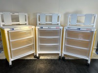 LOT OF (3) SUPPLY CARTS