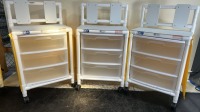 LOT OF (3) SUPPLY CARTS