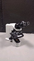 OLYMPUS BX41TF LAB MICROSCOPE WITH 4 OBJECTIVES