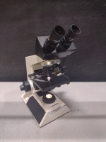 LABOMED CXL LAB MICROSCOPE WITH 4 OBJECTIVES