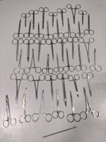 LOT OF VARIOUS SCISSORS