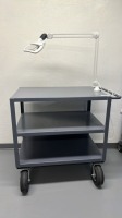 HEAVY DUTY UTILITY CART WITH MAGNIFICATION LAMP LOCATED AT 200 GROTON RD. AYER MA 01432