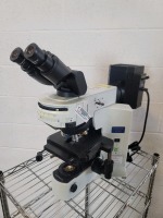 OLYMPUS BX41TF SURGICAL MICROSCOPE W/ 4 OBJECTIVES (10X, 40X, 50X, 100X)