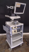 OLYMPUS ENDOSCOPY SYSTEM TO INCLUDE: OLYMPUS EVIS EXERA III CV-190 VIDEO PROCESSOR, OLYMPUS EVIS EXERA III CLV-190 LIGHT SOURCE ON STAND