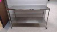 STAINLESS STEEL ROLLING BACK TABLE