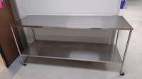 STAINLESS STEEL ROLLING BACK TABLE