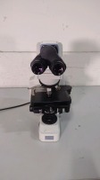 NIKON ECLIPSE E400 LAB MICROSCOPE WITH 2 EYEPIECES (CFI 10X/22), 4 OBJECTIVES (10, 40, 50, 100)