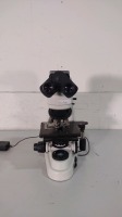 NIKON ECLIPSE 55I LAB MICROSCOPE WITH 2 EYEPIECES (CFI 10X/22), 4 OBJECTIVES (10, 40, 50, 100)