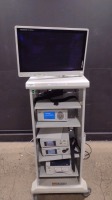 STRYKER ENDOSCOPY SYSTEM TO INCLUDE 1488 HD CAMERA CONTROL UNIT, L9000 LIGHT SOURCE, PNEUMO SURE HIGH FLOW INSUFFLATOR, SDP1000 PRINTER & VISION PRO MONITOR ON CART