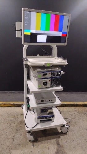 OLYMPUS ENDOSCOPY SYSTEM TO INCLUDE EVIS EXERA III CV-190 VIDEO PROCESSOR, CLV-190 LIGHT SOURCE, ERBE EIP 2, STERYKER SERFAS ENERGY RF GENERATOR, OEP-5 PRINTER & OEV262H MONITOR ON CART