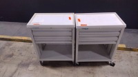 LOT OF (2) CRASH CARTS