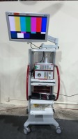 R. WOLF ARTHROSCOPY TOWER: 5550 HD ENDOCAM CAMERA 5132 AUTO LP LIGHT SOURCE AND 5371.6265 26 INCH MONITOR ON CART LOCATED AT 3325 MOUNT PROSPECT RD. FRANKLIN PARK, IL 60131
