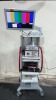 R. WOLF ARTHROSCOPY TOWER: 5550 HD ENDOCAM CAMERA 5132 AUTO LP LIGHT SOURCE AND 5371.6265 26 INCH MONITOR ON CART LOCATED AT 3325 MOUNT PROSPECT RD. FRANKLIN PARK, IL 60131