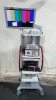 R. WOLF ARTHROSCOPY TOWER: 5550 HD ENDOCAM CAMERA 5132 AUTO LP LIGHT SOURCE AND 5371.6265 26 INCH MONITOR ON CART LOCATED AT 3325 MOUNT PROSPECT RD. FRANKLIN PARK, IL 60131 - 2