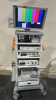 DYONICS ARTHROSCOPY TOWER: ED-3 CAMERA 300XL LIGHT SOURCE 24 INCH SONY MONITOR AND UP-51MD PRINTER ON CART LOCATED AT 3325 MOUNT PROSPECT RD. FRANKLIN PARK, IL 60131 - 2