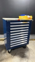 ZIMMER PLATES AND SCREWS CABINET TO INCLUDE SYNTHES AND DUPUY SCREW PLATES AND WIRES LOCATED AT 3325 MOUNT PROSPECT RD. FRANKLIN PARK, IL 60131