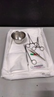 MINOR TRAY LOCATED AT 3325 MOUNT PROSPECT RD. FRANKLIN PARK, IL 60131