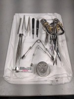 MINOR TRAY LOCATED AT 3325 MOUNT PROSPECT RD. FRANKLIN PARK, IL 60131