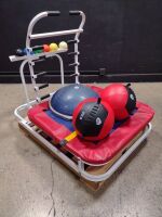 TRAMPOLINE WITH MEDICINE BALLS AND RACK LOCATED AT 3325 MOUNT PROSPECT RD. FRANKLIN PARK, IL 60131