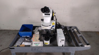 OLYMPUS BX41 LAB MICROSCOPE WITH 2 EYEPIECES (WH 10X/22 GLASSES), 4 OBJECTIVES (10, 20, 40, 100), POWER SUPPLY, ACCESSORIES (NO CART)