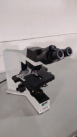 OLYMPUS BX40 LAB MICROSCOPE WITH 2 EYEPIECES (WH 10X/22 GLASSES), 4 OBJECTIVES (4, 10, 40, 50)