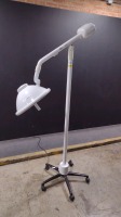 RITTER 355 EXAM LIGHT