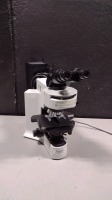 OLYMPUS BX41 LAB MICROSCOPE WITH 4 OBJECTIVES (10X, 20X, 40X, 100X)