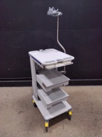 OLYMPUS ENDOSCOPY CART