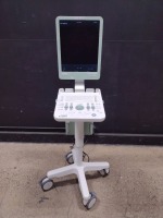 BK MEDICAL FLEX FOCUS 300 ULTRASOUND MACHINE