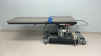 MORGAN MEDESIGN BASIC 1A PAIN TABLE (located at 204 Gateway North Marble Falls, TX 78654)