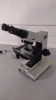 NIKON LABOPHOT LAB MICROSCOPE WITH 2 EYEPIECES (CFW10X), 2 OBJECTIVES (10, 10 DL) - 2