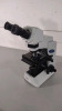 OLYMPUS CX41 LAB MICROSCOPE WITH 2 EYEPIECES (10X-H/18 GLASSES, 10X/18 GLASSES), 3 OBJECTIVES (4, 10, 40) - 2