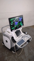 GE LOGIQ E9 PORTABLE ULTRASOUND SYSTEM WITH 1 PROBE (9L-D)(SN 202725US6)