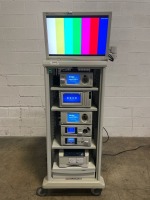 STRYKER VIDEO TOWER CART TO INC STRYKER PNEUMO SURE INSUFFLATOR X2, STRYKER SDC3 INFO MGMT SYSTEM, STRYKER L9000 LED LIGHT SOURCE, STRYKER I488 HD CAMERA, STRYKER PRINTER, STRYKER 26\ DISPLAY MONITOR"