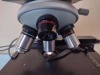 OLYMPUS CH LAB MICROSCOPE 10X EYE PIECES WITH 4 OBJECTIVES - 3