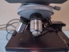 OLYMPUS CH LAB MICROSCOPE 10X EYE PIECES WITH 4 OBJECTIVES - 5