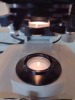 AMERICAN OPITICAL MICRO STAR LAB MICROSCOPE 10X EYE PIECES WITH 4 OBJECTIVES - 6