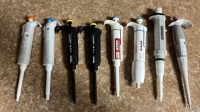 (THERMO SCIENTIFIC PIPETTES QTY 6), (HAMILTON QTY 1) (OTHER QTY 1)