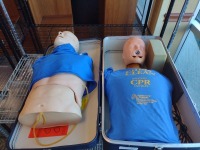 MANNEQUIN, UPPERBODY WITH CASE, QTY. 2, LOC: COMMUNITY ROOM 1