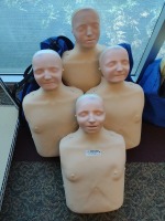 LAERDAL MANNEQUIN, UPPERBODY WITH BAG, QTY. 4, LOC: COMMUNITY ROOM 1