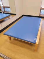 SAMMONS PRESTON INC VALUE LINE THERAPY TABLE