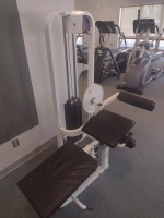 PARAMOUNT FITNESSLINE 1900 LEG EXTENSION/ HORIZONTAL CURL