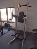 HOIST FITNESS DIP STATION AND PULL UP BAR POWER TOWER