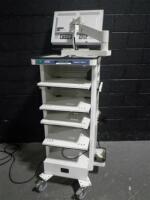 KARL STORZ GOKART 9601F ENDOSCOPY CART W/WIDE VIEW HD MONITOR