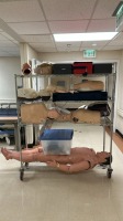 LOT OF LAURADEL STUDENT PRACTICE MANNEQUINS