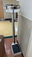 DEFECTO PATIENT SCALE