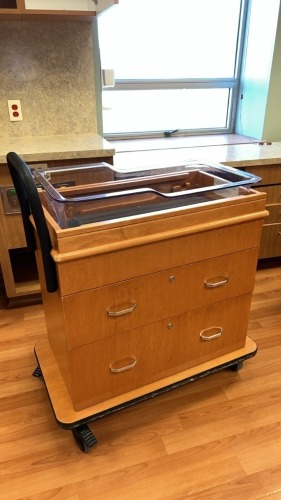 BASSINET