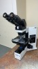 OLYMPUS BX40 LAB MICROSCOPE W/ 5 OBJECTIVE (10X, 40X, 100X, 50X, 1X)