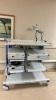 OLYMPUS 180 ENDOSCOPY TOWER SYSTEM TO INCLUDE: OLYMPUS EVIS EXERA II CLV-180 LIGHT SOURCE, OLYMPUS EVIS EXERA II CV-180 IMAGE PROCESSOR ON CART
